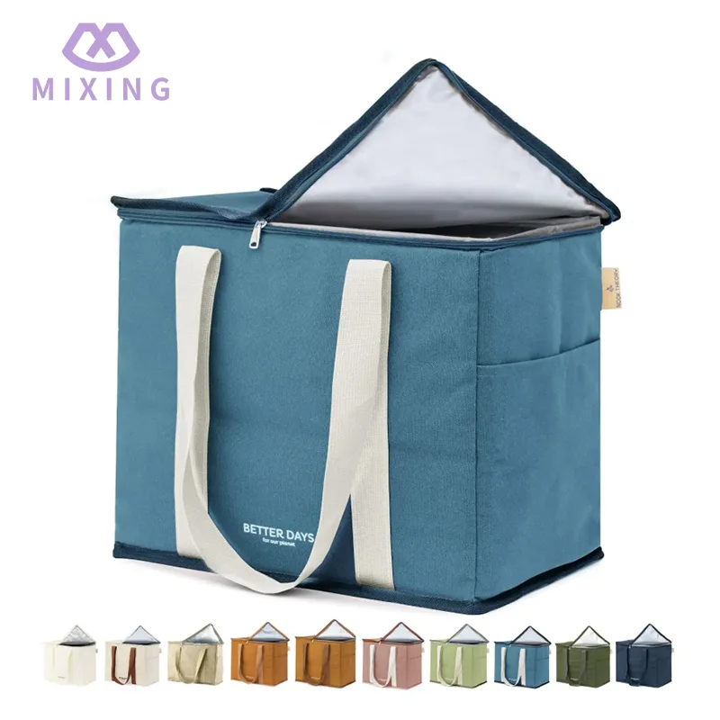 Bolsa de comestibles aislada